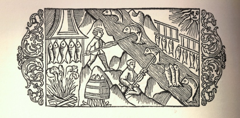 Vildlaxen som försvann